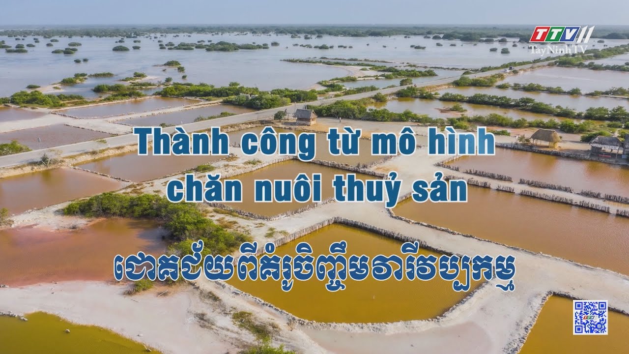 Thành công từ mô hình chăn nuôi thuỷ sản | NÔNG NGHIỆP TÂY NINH | TayNinhTVToday